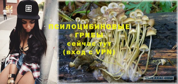 винт Алексин