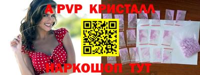 амф Кингисепп