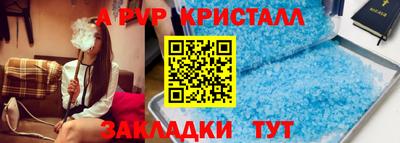амф Кингисепп