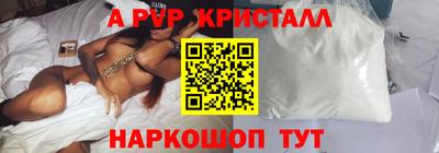 амф Кингисепп