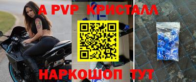 амф Кингисепп