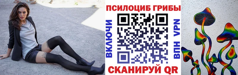 omg Красноярск Галлюциногенные грибы Psilocybe