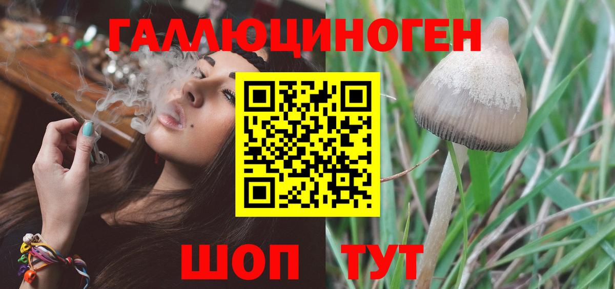 Псилоцибиновые грибы Psilocybe  Галлюциногенные грибы мицелий  цены наркотик  Красноярск  Вход с VPN 